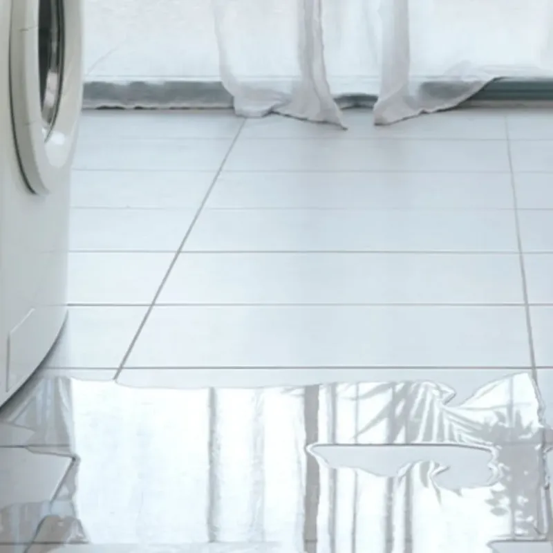 Appliance Leak Cleanup in Knollwood, IL