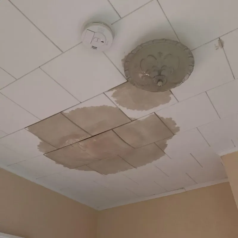 Ceiling Water Damage Repair in Knollwood, IL